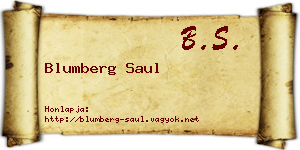 Blumberg Saul névjegykártya